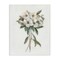 Stupell Industries White Wildflower Bundle Canvas Design by Sally Swatland